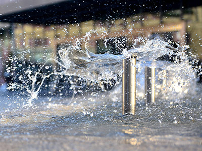 陈场镇企业风采