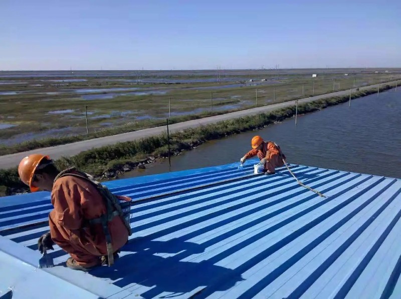 陈场镇彩钢瓦屋面防腐翻新